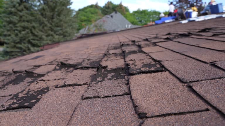 Best Wood Shake Roofing  in West Deland, FL